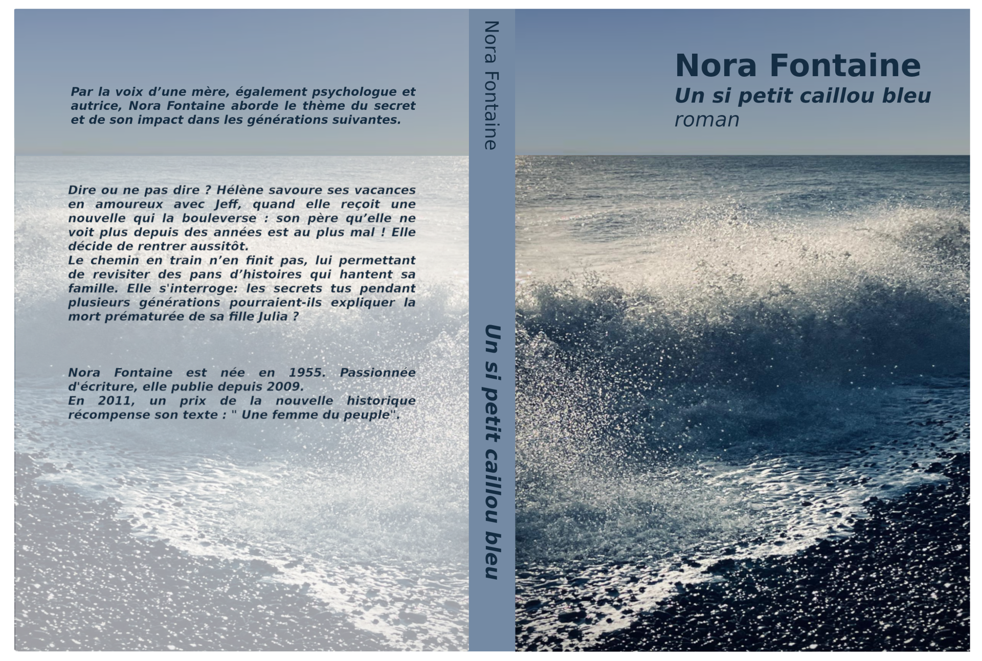 Un si petit caillou bleu, roman
